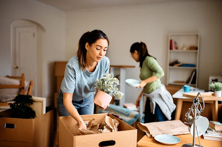 Which Items Need Climate Control and Which Do Not?