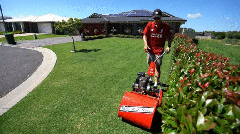 Buffalo Grass vs Kikuyu Grass: Which is Easier to Maintain in Perth?