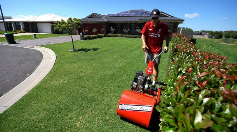 Buffalo Grass vs Kikuyu Grass: Which is Easier to Maintain in Perth?